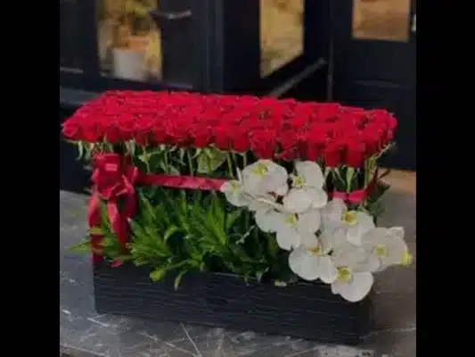 دنیای لاکچری و ترندهای اینستاگرام