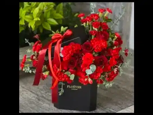 کدام باکس شایستهی عشق شماست؟